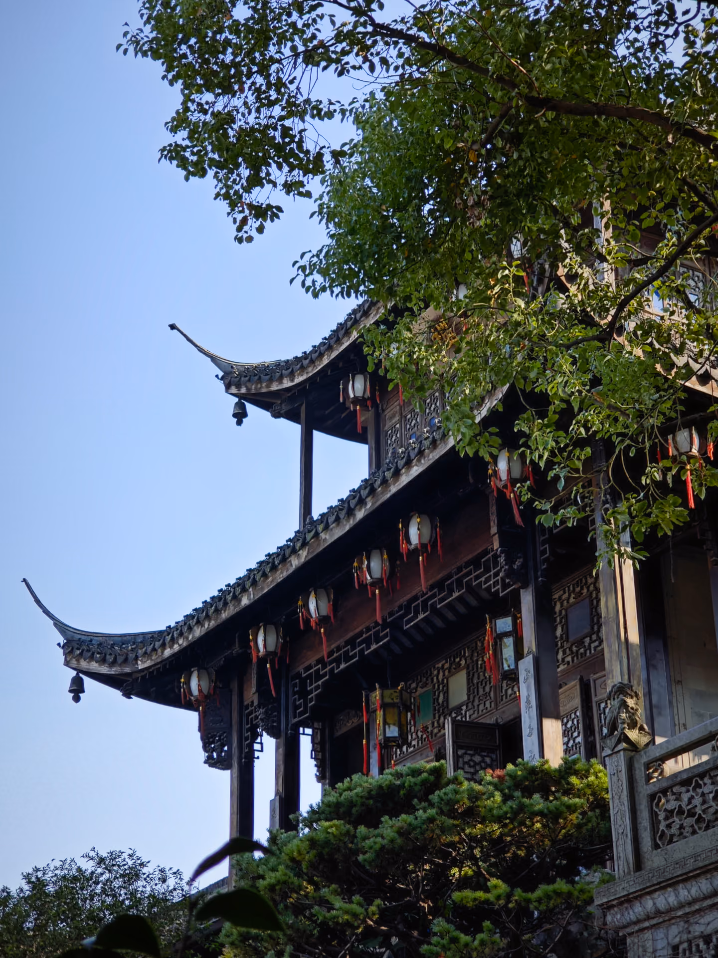 树影与中式建筑屋檐